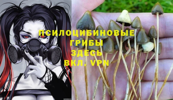 дмт Горнозаводск