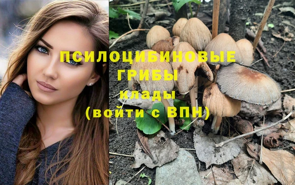 дмт Горнозаводск