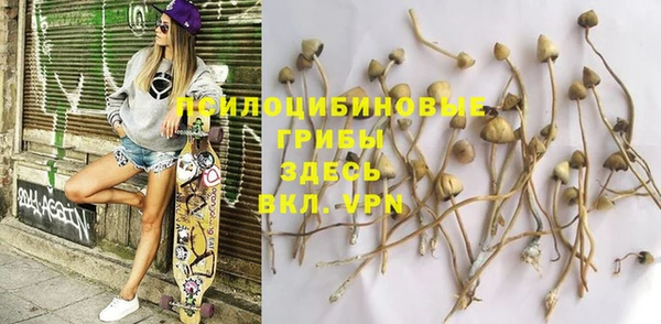 прущая мука Горняк